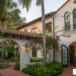 mount dora wellness center