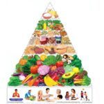 government 8 tips for healthy eating