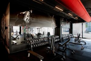 best gym equipment for losing weight and toning