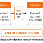 Circuit training cycle flowchart showing stations and recovery intervals