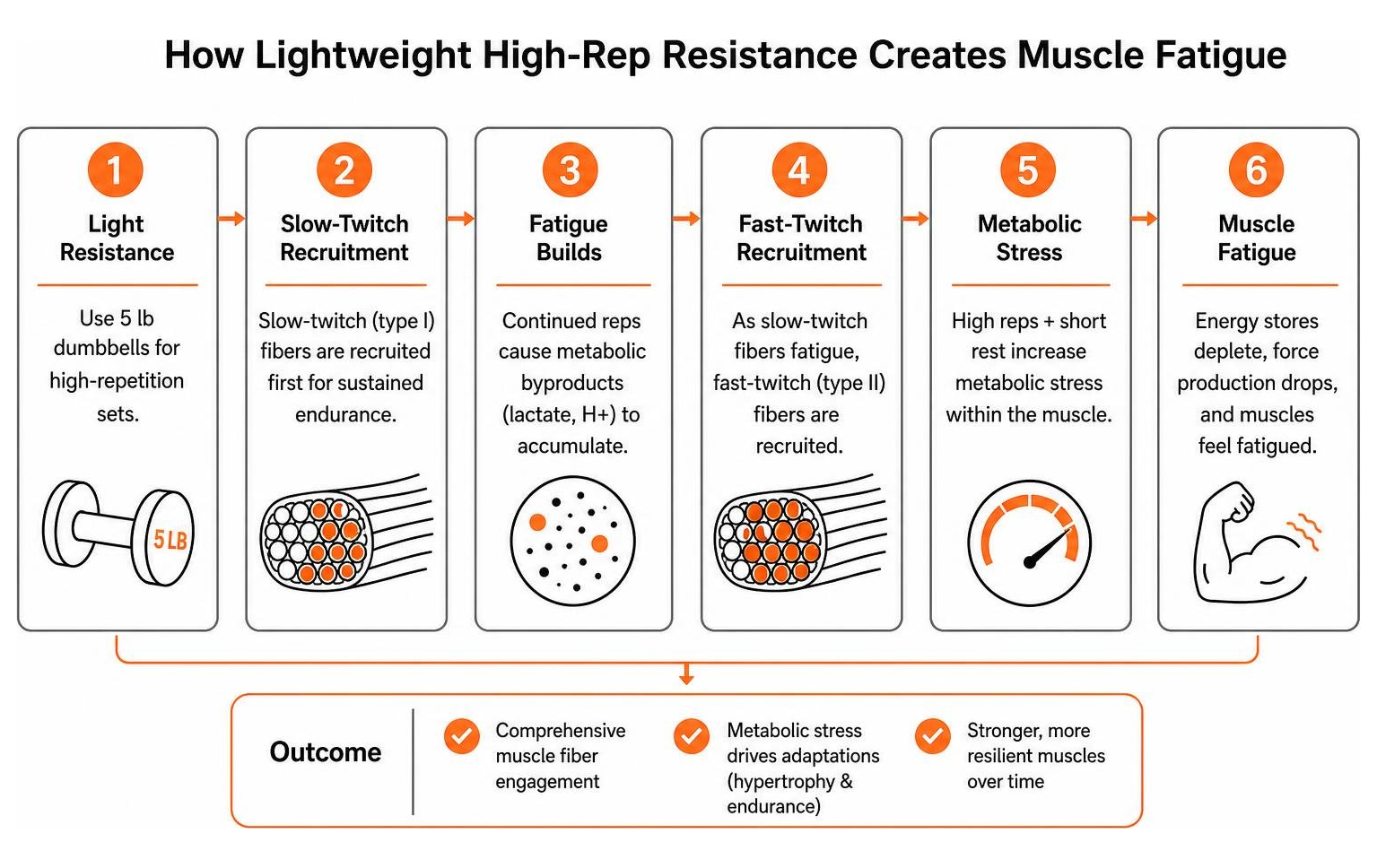 How lightweight high-rep resistance creates muscle fatigue