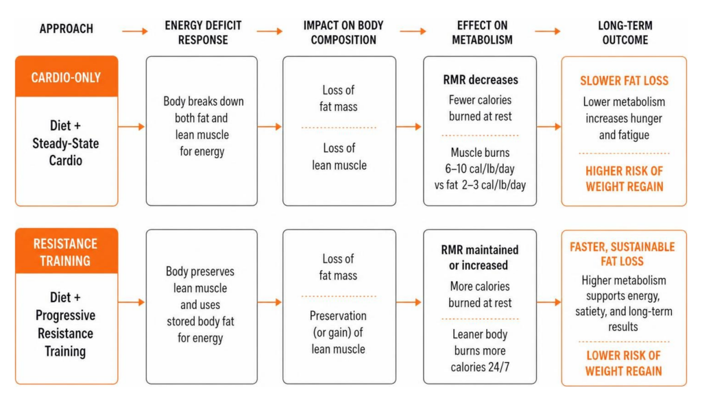 Diagram illustrating the difference in metabolic outcome between cardio-only and resistance training strategies
