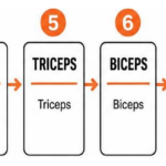 Sequence of muscle groups targeted across the standard 10-track BODYPUMP workout format