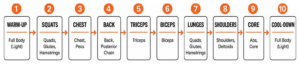 Sequence of muscle groups targeted across the standard 10-track BODYPUMP workout format