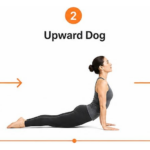 Sequence showing transition from Chaturanga to Upward Dog to Downward Dog