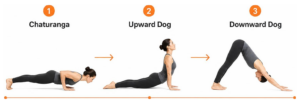 Sequence showing transition from Chaturanga to Upward Dog to Downward Dog